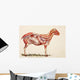 Internal Organs Of A Sheep Wall Mural