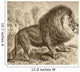 Now Extinct From La Vida De Los Animales Published Spain Circa 1885 Wall Mural