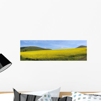 Field Yellow Flowers Wall Mural shown on a wall