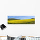 A Field Of Yellow Flowers Wall Mural