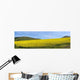 A Field Of Yellow Flowers Wall Mural