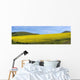 A Field Of Yellow Flowers Wall Mural