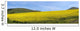 A Field Of Yellow Flowers Wall Mural