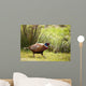 Pheasant Wall Mural