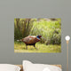 Pheasant Wall Mural
