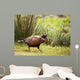 Pheasant Wall Mural