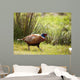 Pheasant Wall Mural