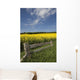 A Wooden Fence Along A Field Of Canola Wall Mural