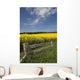A Wooden Fence Along A Field Of Canola Wall Mural