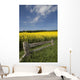 A Wooden Fence Along A Field Of Canola Wall Mural