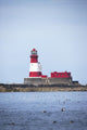 Longstone Lighthouse And Guillemot In The Water Wall Mural