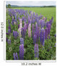 Lupines In A Field With Mountains In The Distance Wall Mural