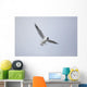 A Bird In Flight Wall Mural