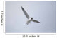 A Bird In Flight Wall Mural