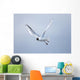 A Bird In Flight Wall Mural
