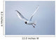 A Bird In Flight Wall Mural