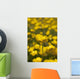 A Field Of Yellow Buttercups Wall Mural