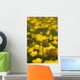 A Field Of Yellow Buttercups Wall Mural