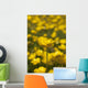 A Field Of Yellow Buttercups Wall Mural