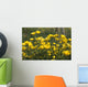 A Field Of Yellow Buttercups Wall Mural