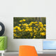 A Field Of Yellow Buttercups Wall Mural