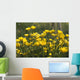 A Field Of Yellow Buttercups Wall Mural