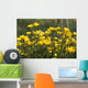A Field Of Yellow Buttercups Wall Mural