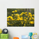 A Field Of Yellow Buttercups Wall Mural