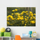 A Field Of Yellow Buttercups Wall Mural