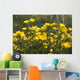 A Field Of Yellow Buttercups Wall Mural