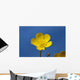 A Yellow Buttercup Against A Blue Sky Wall Mural