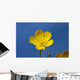 A Yellow Buttercup Against A Blue Sky Wall Mural