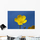 A Yellow Buttercup Against A Blue Sky Wall Mural