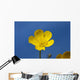 A Yellow Buttercup Against A Blue Sky Wall Mural