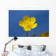 A Yellow Buttercup Against A Blue Sky Wall Mural
