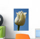 A White Tulip Against A Blue Sky Wall Mural