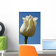 A White Tulip Against A Blue Sky Wall Mural