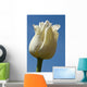 A White Tulip Against A Blue Sky Wall Mural