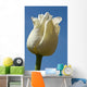 A White Tulip Against A Blue Sky Wall Mural