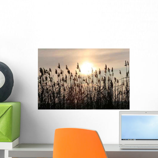 Ammersee Wall Mural