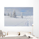 Winter landscape Wall Mural