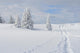 Winter landscape Wall Mural