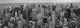 Panorama New york Wall Mural