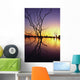 Silhouetted Trees In Lake Bennet At Sunset Wall Mural