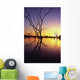 Silhouetted Trees In Lake Bennet At Sunset Wall Mural