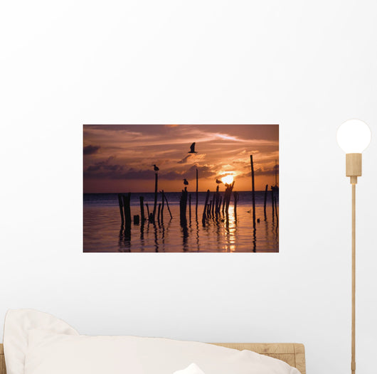 Silhouette Of Seagulls On Posts In Sea At Sunset Wall Mural