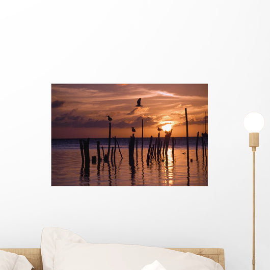 Silhouette Of Seagulls On Posts In Sea At Sunset Wall Mural