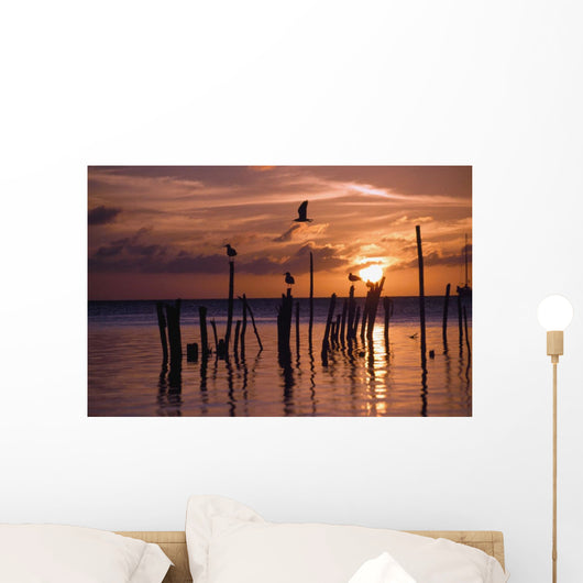 Silhouette Of Seagulls On Posts In Sea At Sunset Wall Mural
