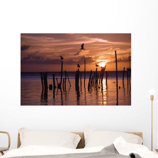 Silhouette Of Seagulls On Posts In Sea At Sunset Wall Mural