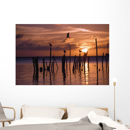 Silhouette Of Seagulls On Posts In Sea At Sunset Wall Mural